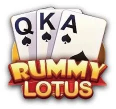 Rummy 51 Bonus New